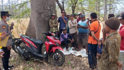 Atraksi SAMBO (Sama-sama Bohong) Dalam Pengelolaan Panen Kapuk di Lahan KLHK Wongsorejo