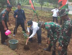 Seluruh Jajaran Kostrad Bersama KPH Bondowoso, Melaksanakan Penanaman Pohon Dalam Rangka HUT Ke-77
