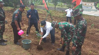 Seluruh Jajaran Kostrad Bersama KPH Bondowoso, Melaksanakan Penanaman Pohon Dalam Rangka HUT Ke-77