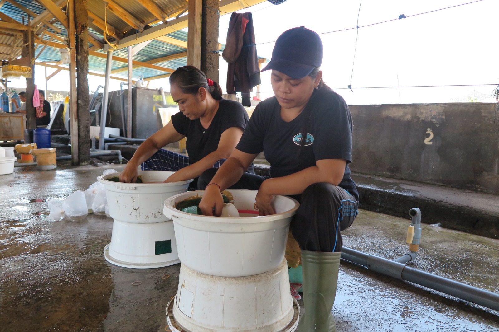 LPEI Resmikan Desa Devisa