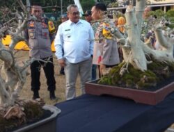 HUT Bhayangkara ke 77, Polres Bondowoso Gelar Pameran Dan Bursa Bonsai