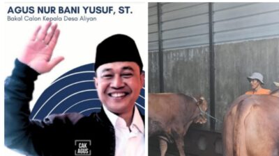 Usai Sholat ID, Cakades Aliyan Bersama Panitia Bagikan Daging Kurban kepada Ribuan Masyarakat