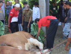 Polres Bondowoso Mengelar Sholat Idul Adha Dan Membagikan Hewan Qurban