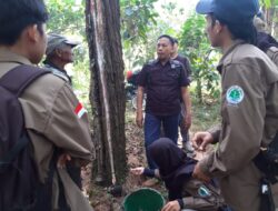 Perhutani Bondowoso Mempersiapkan Calon Rimbawan Dan Rimbawati Berkwalitas Untuk Masa Depan
