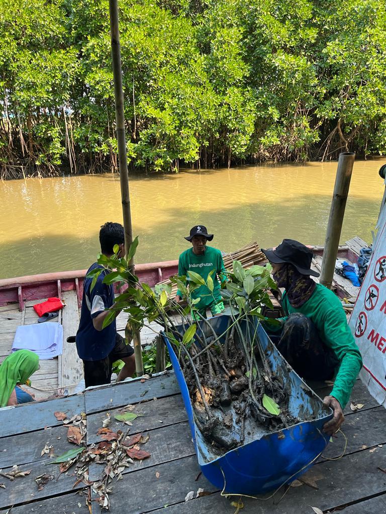 Prosesi persiapan penanaman oleh Mitra Petani lokal