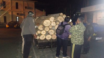 Operasi Gabungan Perhutani Gandeng Polsek Sumber Wringin Kembali Amankan Barang Bukti