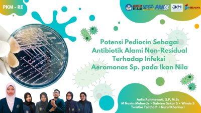 Mahasiswa UB Teliti Pediocin Sebagai Antibiotik Alami untuk Atasi Infeksi Aeromonas Pada Ikan Nila