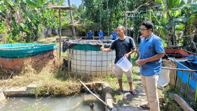 PKM Universitas Brawijaya Edukasi Pembudidaya Nila di Malang Mengenai Pediocin sebagai Terobosan Antibiotik Baru