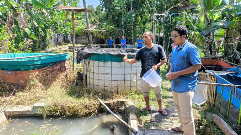Budidaya Ikan Nila Tambaksari