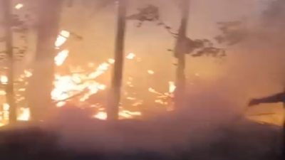 Kebakaran Terjadi di Sepanjang Aliran Sungai Kampung Haji Bondowoso, Api Diduga dari Bakar Sampah