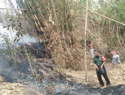 Kebakaran Lahan Bambu Kembali Terjadi, Babinsa Ramil 0822/02 Curahdami Sigap Bantu Padamkan Api