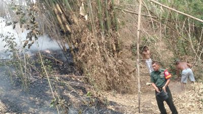 Kebakaran Lahan Bambu Kembali Terjadi, Babinsa Ramil 0822/02 Curahdami Sigap Bantu Padamkan Api