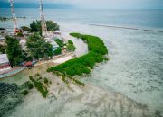 Kolaborasi LindungiHutan dan Smiling Coral Indonesia Hadirkan Harapan Baru untuk Lautan