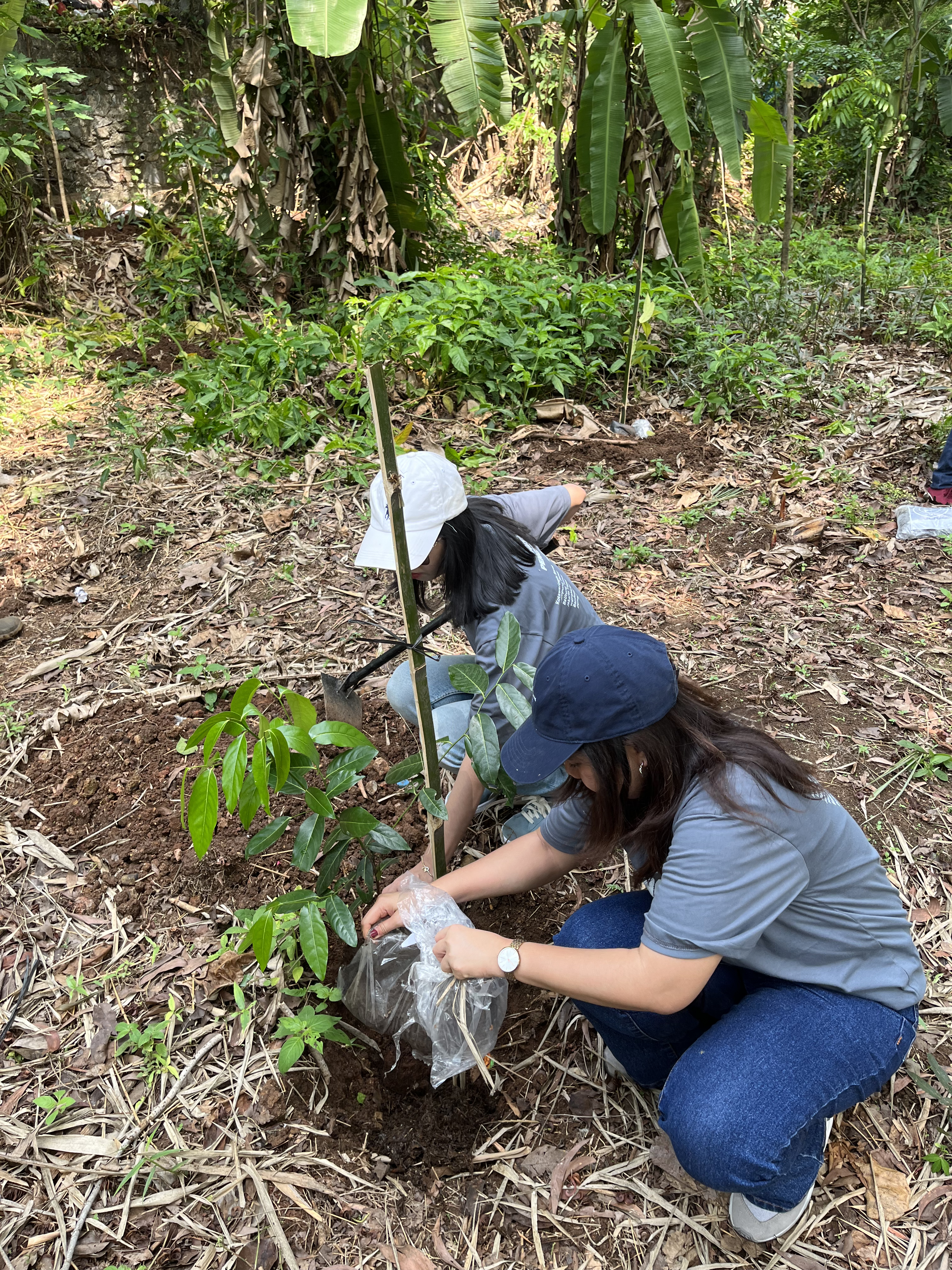 Aksi penanaman pohon oleh PT Meratus Line. (Dokumentasi: LindungiHutan).