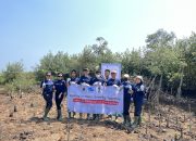Lestarikan Bumi, PT Praisindo Teknologi Tanam 500 Mangrove di Sukawali Kabupaten Tangerang