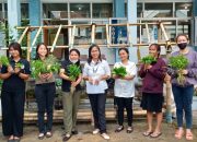 Membangun Mini Greenhouse dan Budidaya Tanaman Pangan dengan Kreativitas Mahasiswa Agribisnis Universitas Katolik Widya Karya