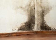 Tips Mengatur Kelembapan Udara di Dalam Ruangan