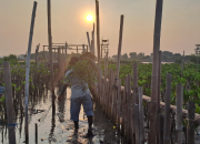 Program Terbaru LindungiHutan Ajak Masyarakat Bersatu dalam Konservasi Lingkungan