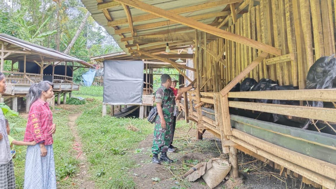 Kodim 0822 Bondowoso