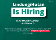 Startup LindungiHutan Buka Lowongan Kerja Freelancer Lead Tour Specialist, Intip Persyaratan Lengkapnya