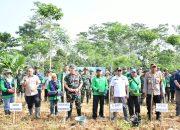 Dukung Hanpangan, Kodim 0822 Bondowoso Gelar Penanaman Jagung Serentak