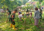 Kompak Karya Bhakti di Makam Umum bersama Babinsa 0822/14 Botolinggo dan Pemdes Setempat