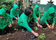 Perkuat Ketahanan Pangan, Persit Ranting 15 Koramil Prajekan Manfaatkan Lahan Kosong Tanam Cabai