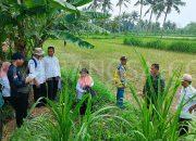 Babinsa Koramil 022/08 Grujugan Dampingi Survei Tim Rumah Bor