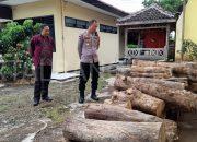 Polsek Klabang Amankan Puluhan Log Kayu Jati Hasil Illegal Logging