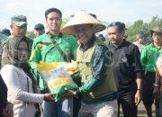 Pj Bupati Bondowoso dan Forkopimda di Gerakan Tanam dan Panen Padi Varietas Inpari 32