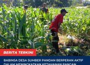 Peran Aktif Babinsa dalam Meningkatkan Ketahanan Pangan di Wilayah