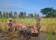 Babinsa Pelda Slamet, “Pengolahan Menggunakan Alsintan Traktor Bertujuan Memperbaiki Sifat Fisik Tanah”