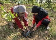 Penanaman 294 Pohon Alpukat dalam Program Gabung Aksi LindungiHutan di Semarang