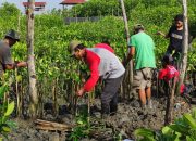 LindungiHutan Ajak Masyarakat Berperan Aktif Melestarikan Hutan dalam Program Sedekah Pohon