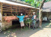 Babinsa 0822/06 Jambesari Sambangi Peternak di Desanya, Begini Pesannya!