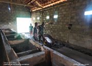 Babinsa Serma Madhasim Dampingi Pembangunan Rumah Ternak Sapi untuk Kemajuan UMKM