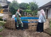 Pendampingan Babinsa Kodim 0822 Bondowoso Dalam Budidaya Ikan Lele