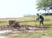 Perwira Menengah TNI-AD Terjun Langsung Siapkan Lahan Pertanian Seorang Diri