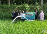 Babinsa Koramil Grujugan Dampingi Petani Lakukan Pompanisasi Lahan Pertanian