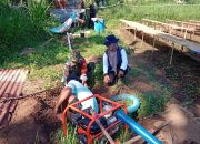 Babinsa Koramil 0822/02 Curahdami Dampingi Giat Pompanisasi di Wilayah Binaan