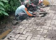 Babinsa 0822 Bondowoso Siap Bantu Kesulitan Rakyat