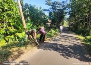 Jalan Desa Gubrih Kinclong Berkat Aksi Babinsa: ‘Kerja Bakti Ini Sangat Membantu!’