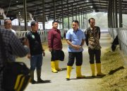 Dudung Abdurrachman Kunjungi Peternakan di Bondowoso dan Begini Harapannya Untuk SMSI