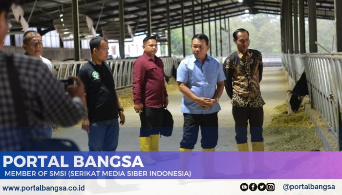 Dudung Abdurrachman Kunjungi Peternakan di Bondowoso dan Begini Harapannya Untuk SMSI