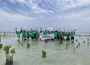 Perusahaan Teknologi Hikvision Rayakan Hari Lingkungan Hidup dengan Tanam Mangrove di Pulau Pari