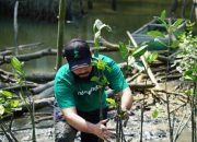 Pesan Penting Dari CEO LindungiHutan Memperingati Hari Lingkungan Hidup Sedunia