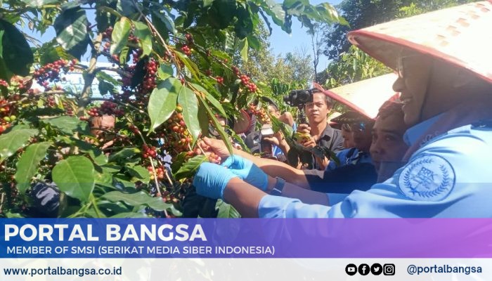 Pj Bupati Berinisiasasi Hidupkan Kembali Bondowoso Republik Kopi