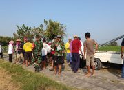Wujud Sinergitas Bersama Rakyat Babinsa Kodim 0812 Lamongan Lakukan Pendampingan pada Petani