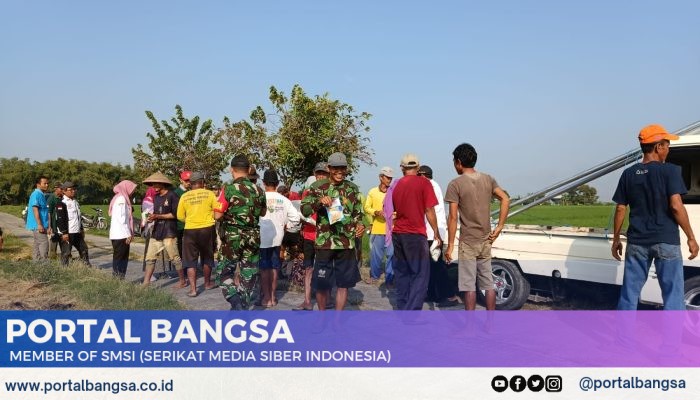 Wujud Sinergitas Bersama Rakyat Babinsa Kodim 0812 Lamongan Lakukan Pendampingan pada Petani