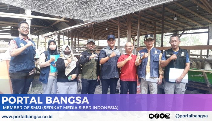 Jelang Idul Adha 1445 H, Disnakkan Sidak Belasan Lapak Ternak